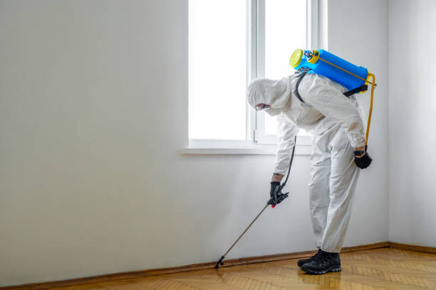 Pest Control for Hotels in Hampshire, IL